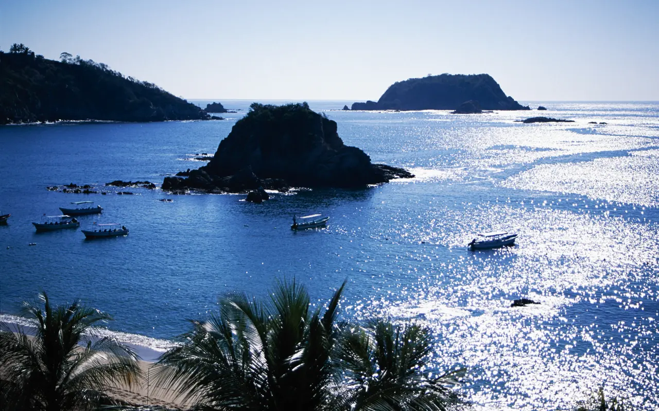 Huatulco: Un Viaje que se Saborea – El Paraíso Culinario de Oaxaca