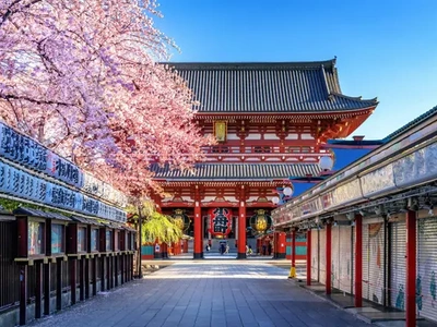 DESCUBRE LA MAJESTUOSIDAD DE JAPÓN 2X1