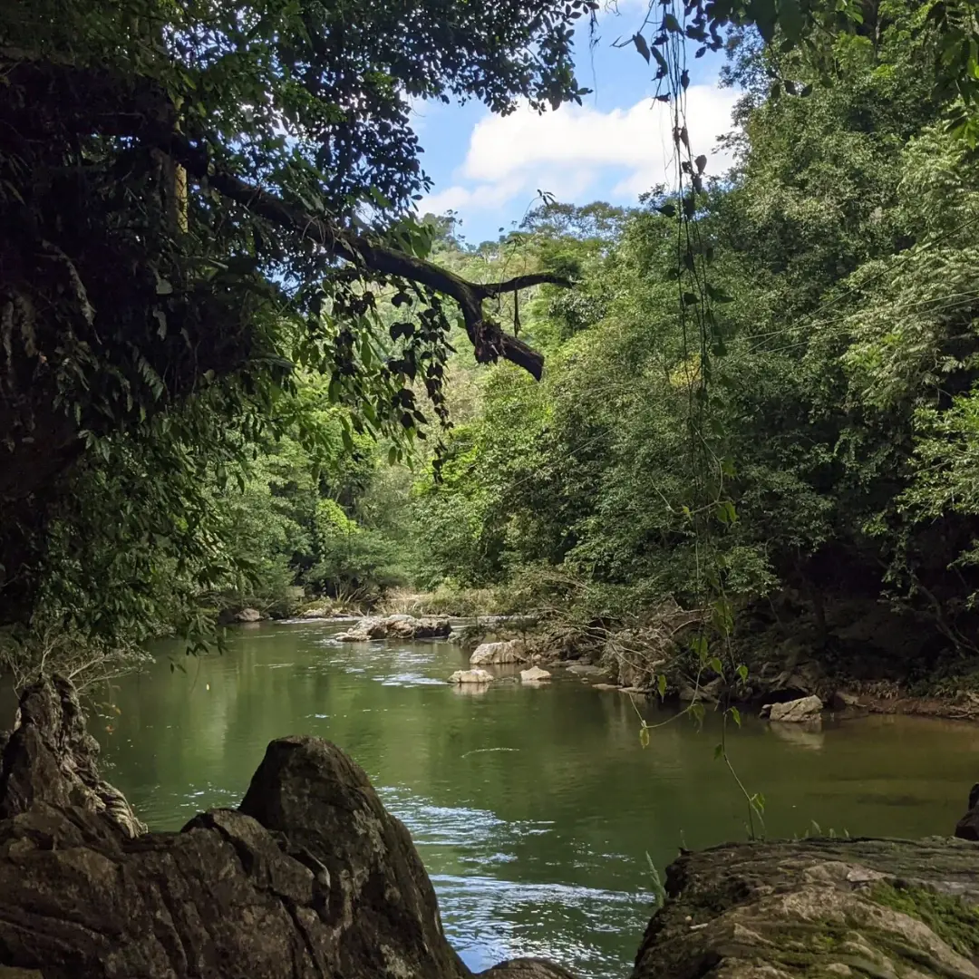 Naturaleza que inspira y sorprende