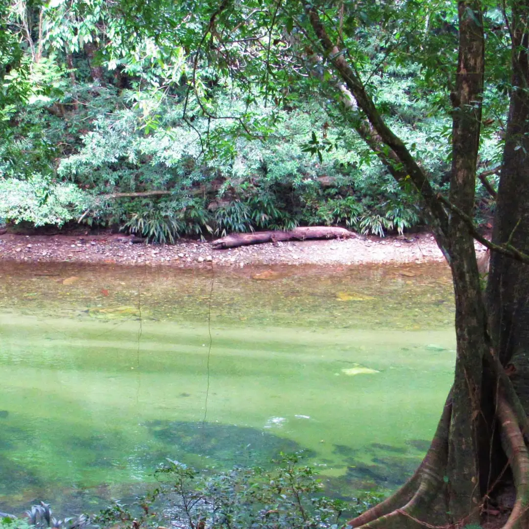 Explora un paraíso natural