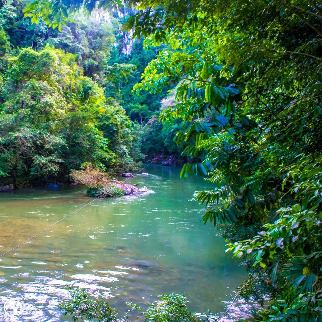 Planes a Río Claro