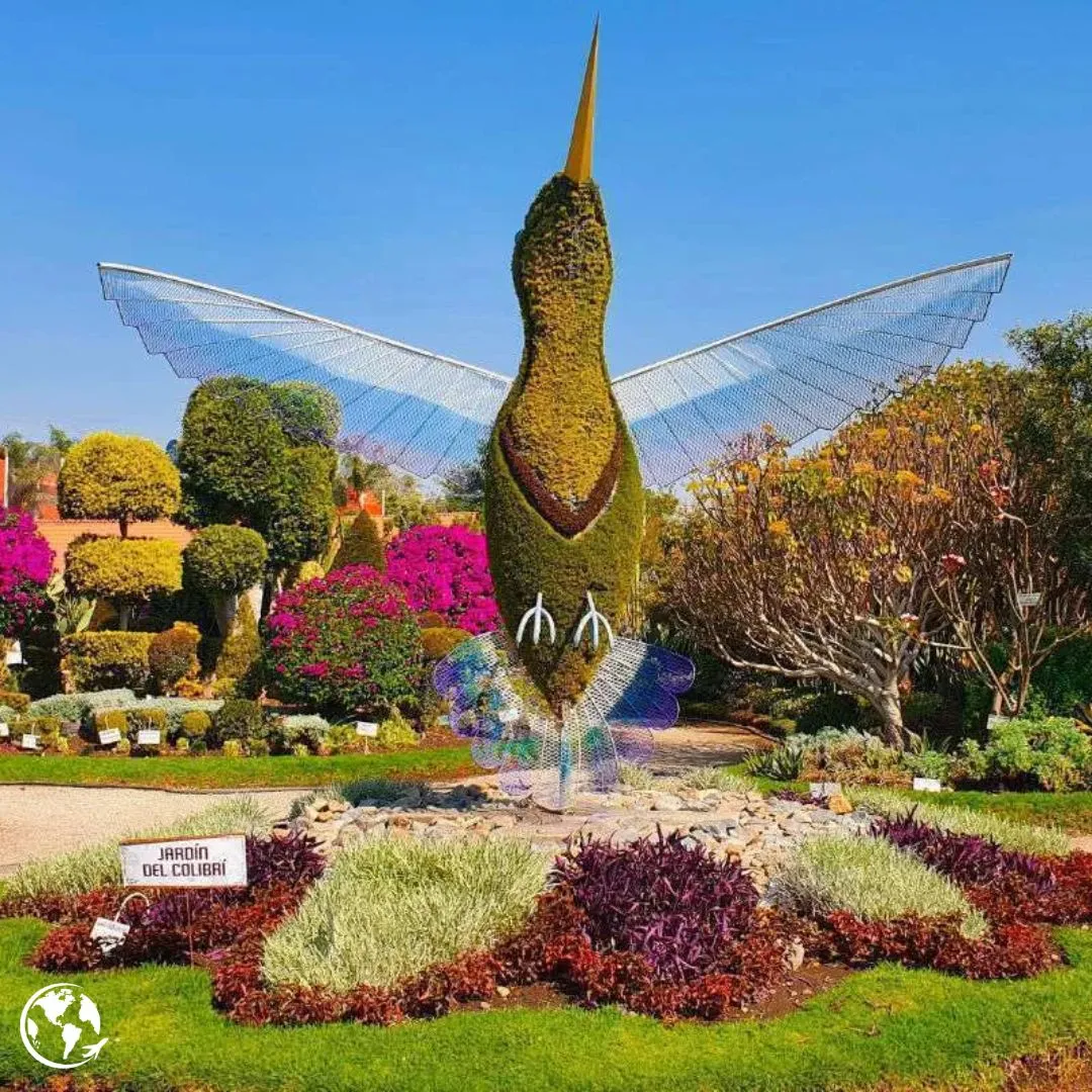 jardin del colibri