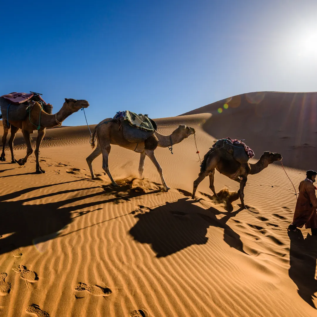 desiertos