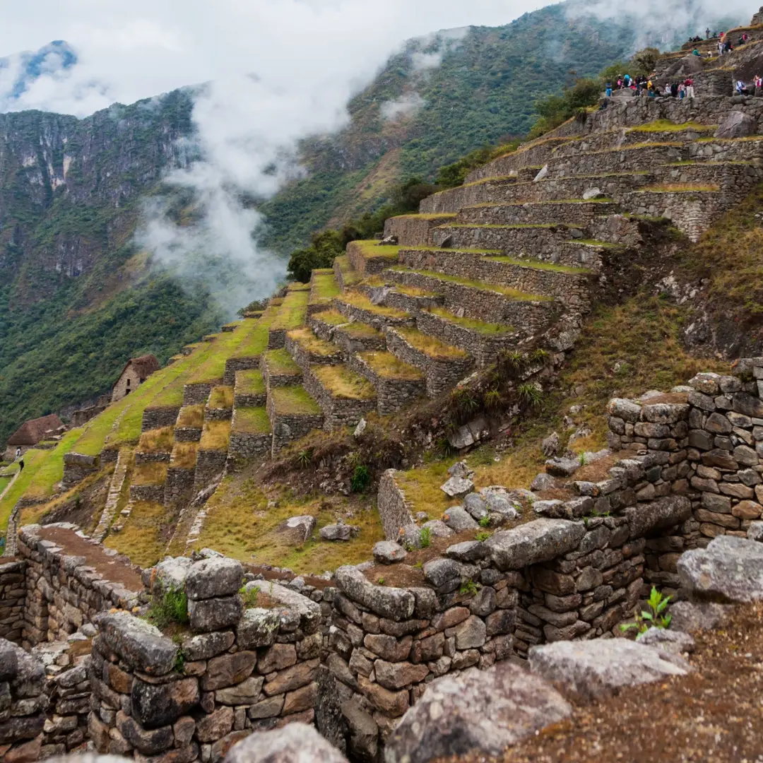 Caminos que conectan con lo ancestral