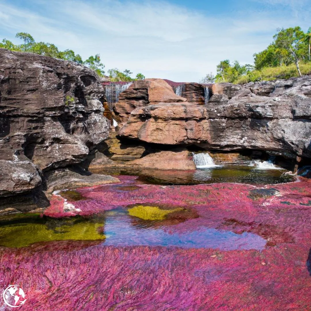 Destino caño cristales