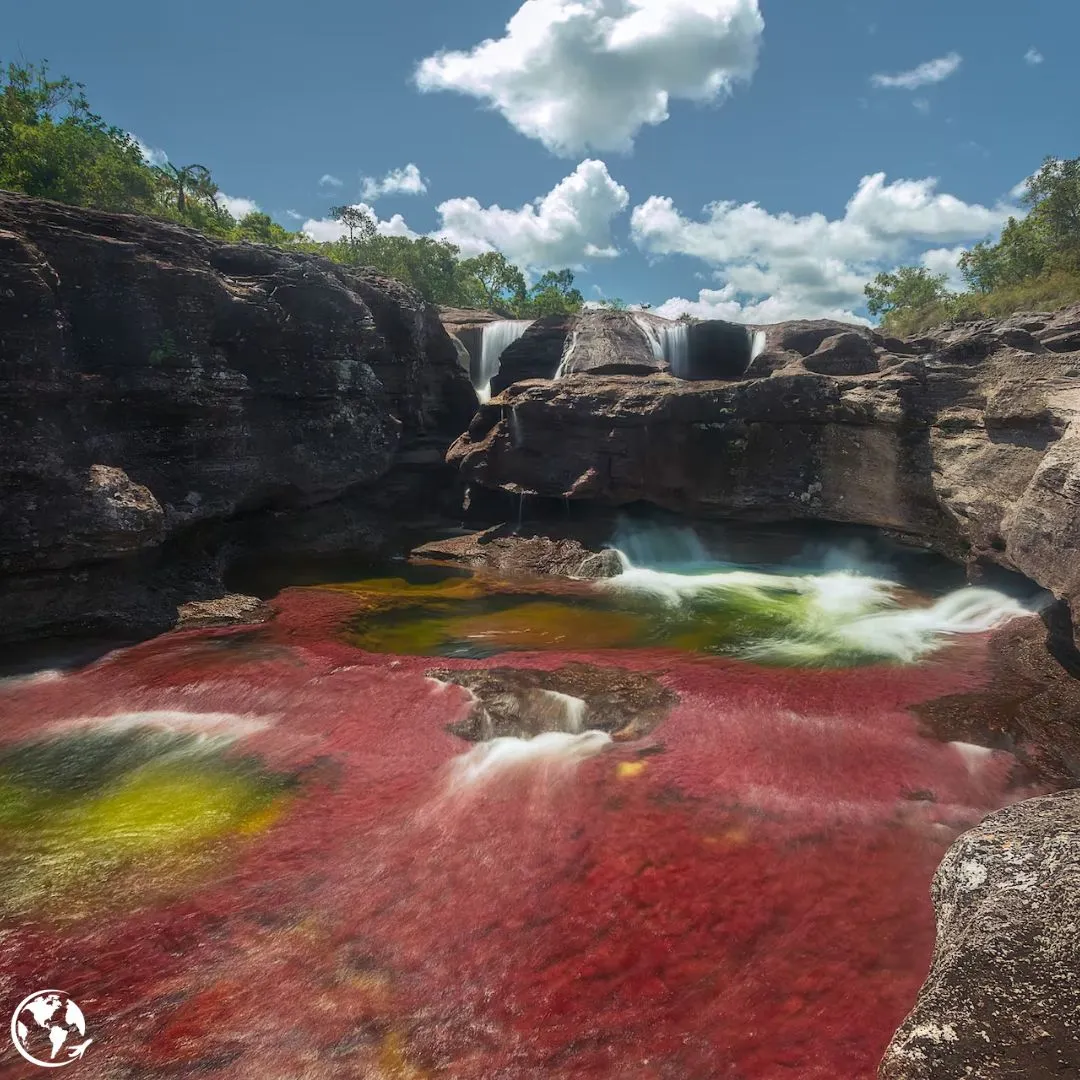 colores de caños cristales