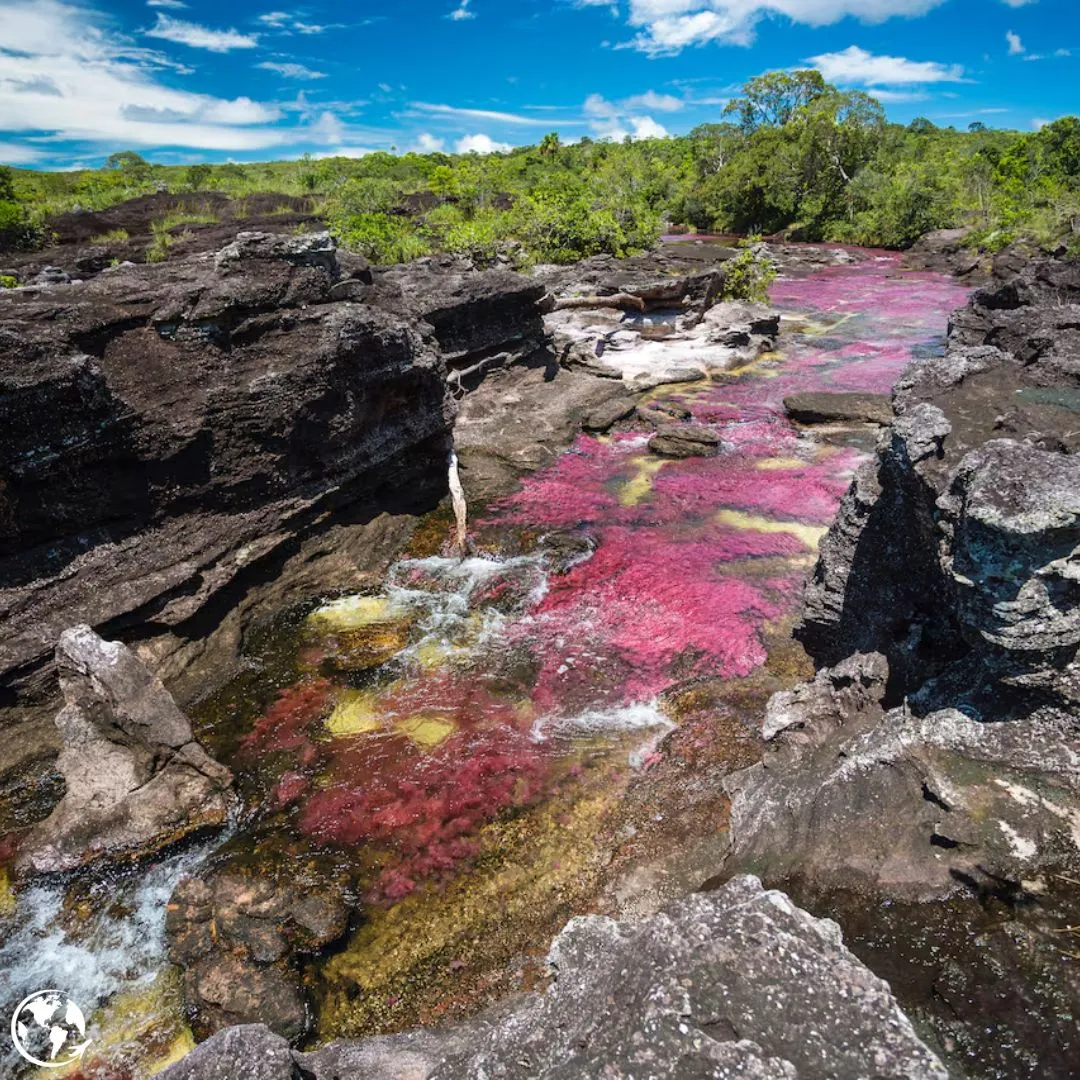 Paisaje de caño cristales