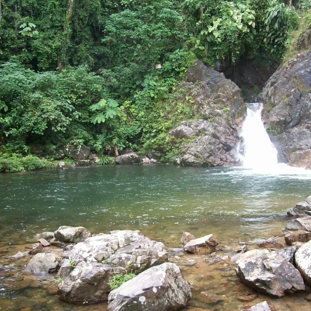 Conexión total con la tranquilidad y la vida