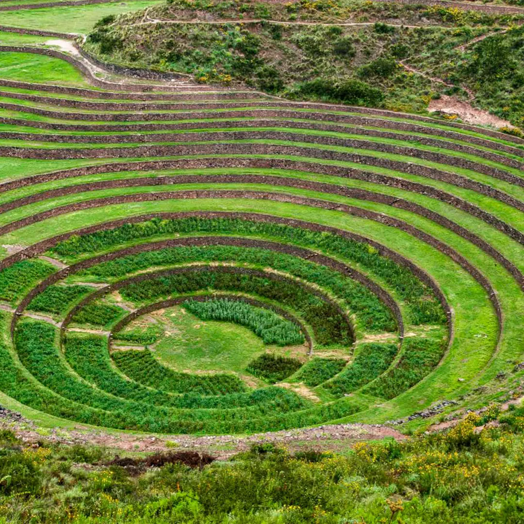 Una travesía por tierras llenas de sabiduría ances