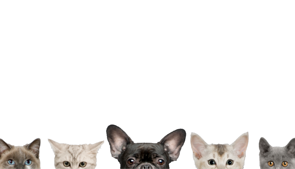 Siluetas de un perro y un gato